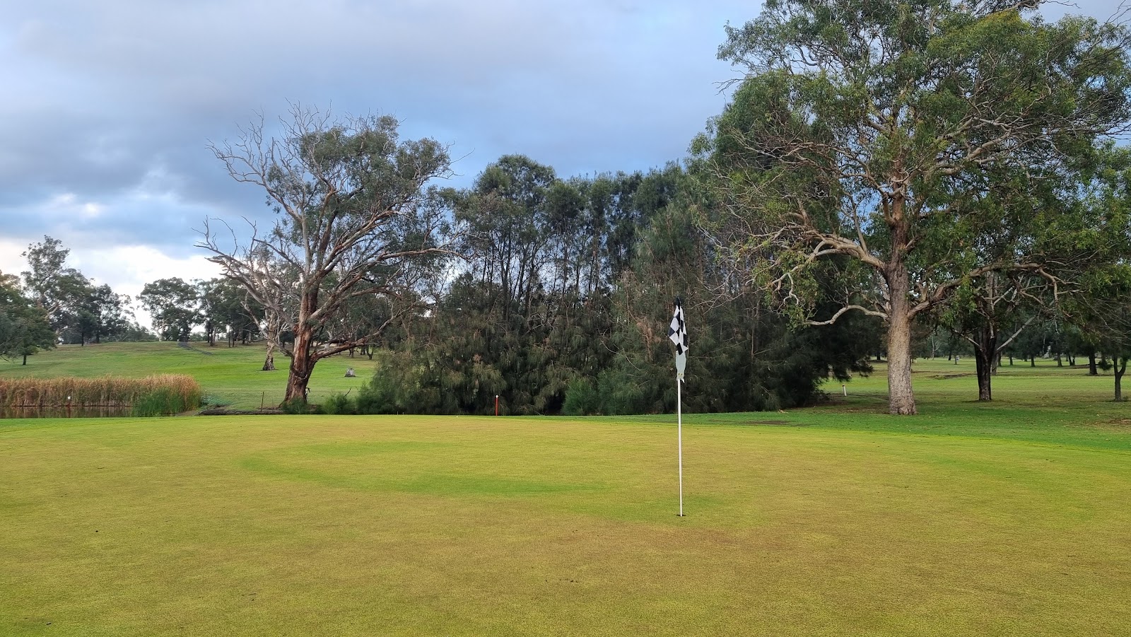 Denman Golf Club