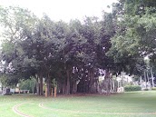 Maryborough Golf Club QLD