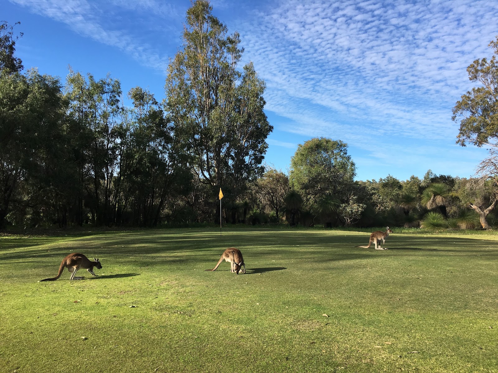 Yanchep National Park Golf Course