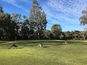 Yanchep National Park Golf Course