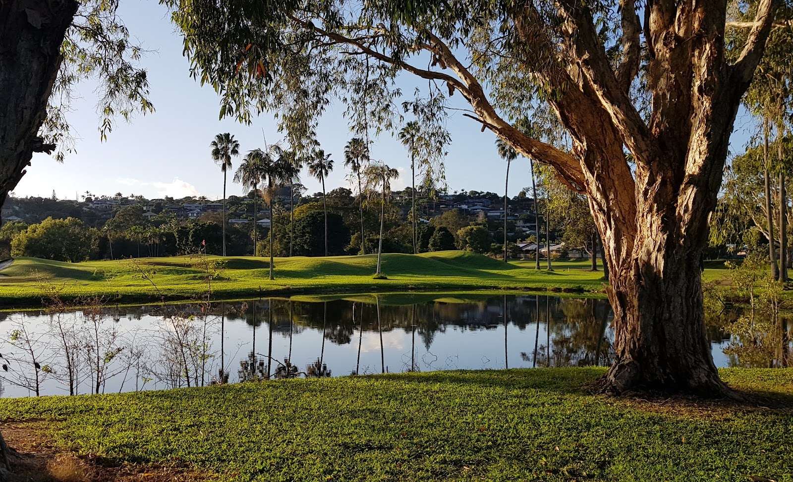 Club Banora Golf Club