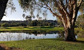 Club Banora Golf Club