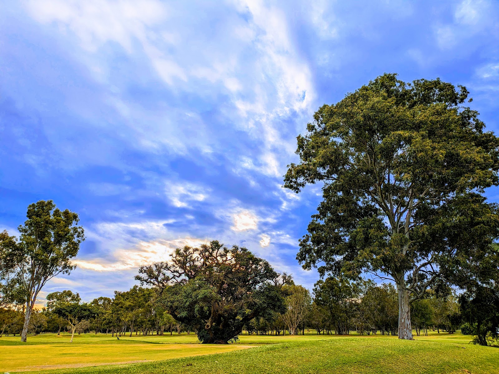 Sandgate Golf Club