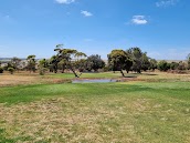 Maitland Golf Club (SA)