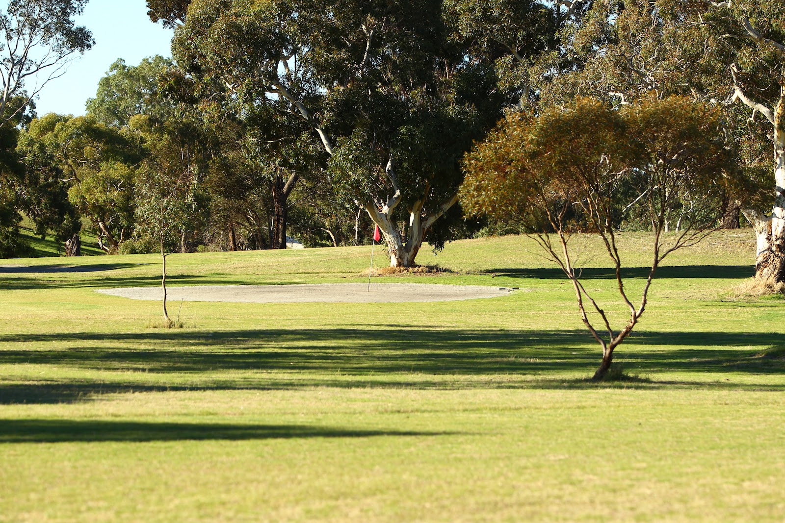 Tintinara Golf Course
