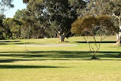 Tintinara Golf Course