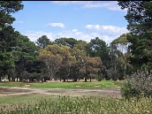 Midlands Golf Club
