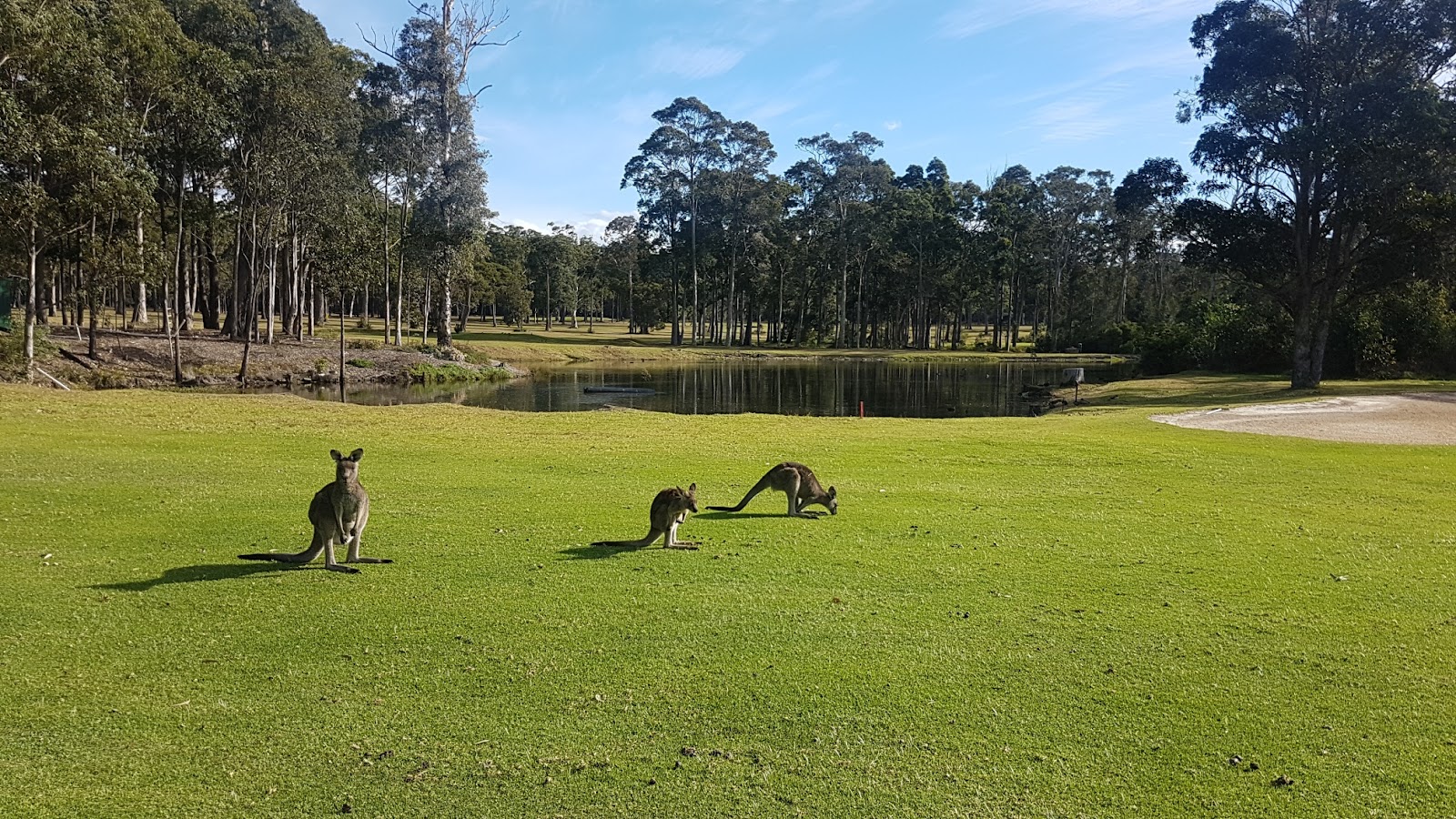 Callala Beach Golf Course