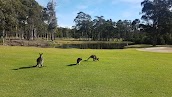 Callala Beach Golf Course