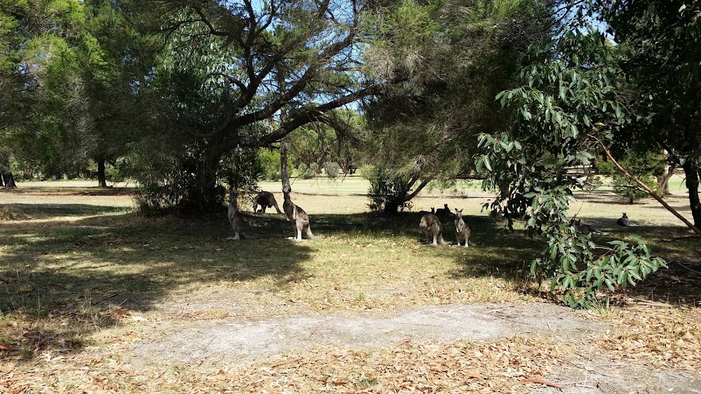Wonthaggi Golf Club