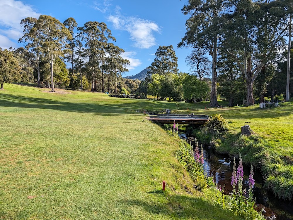 Penguin Golf Club