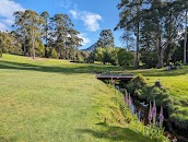 Penguin Golf Club