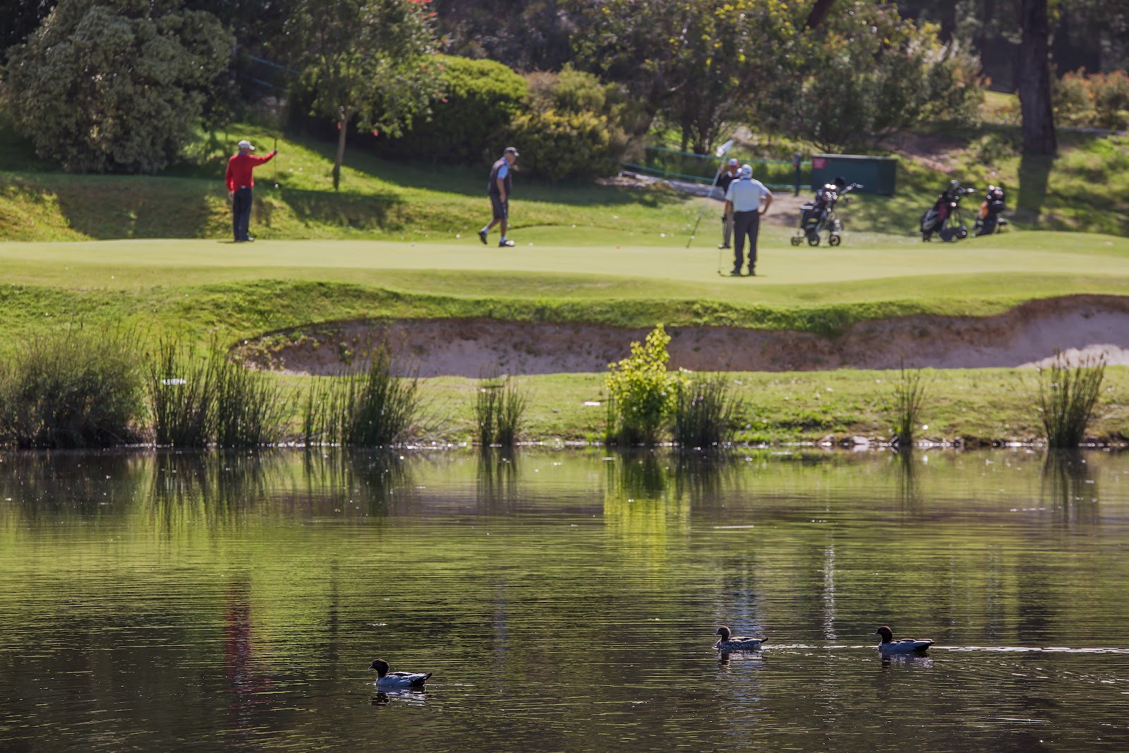 Blackwood Golf Club