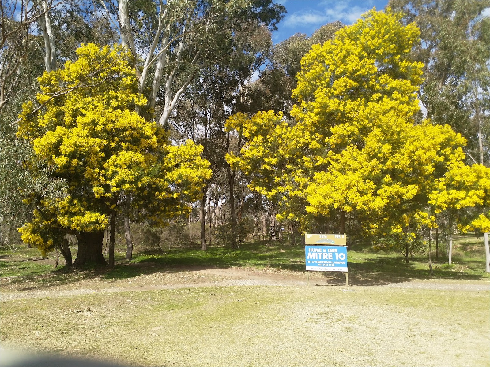 Bendigo Golf Club