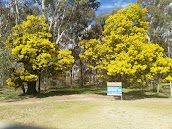 Bendigo Golf Club