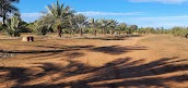 Charleville Golf Club