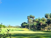 Palms Course