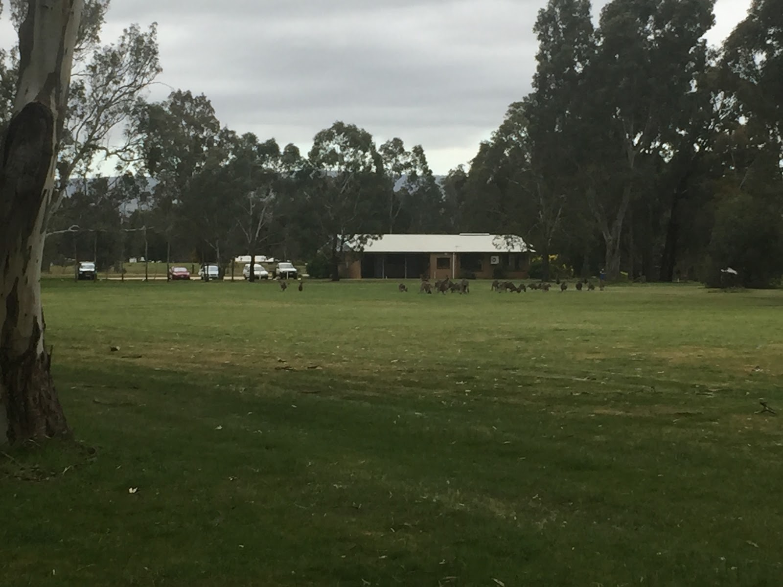 Elmhurst Golf Course