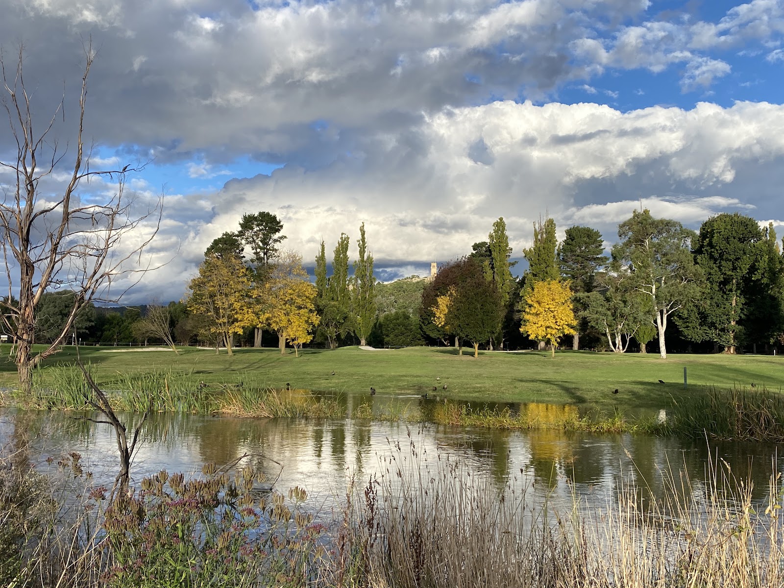 Goulburn Golf Club