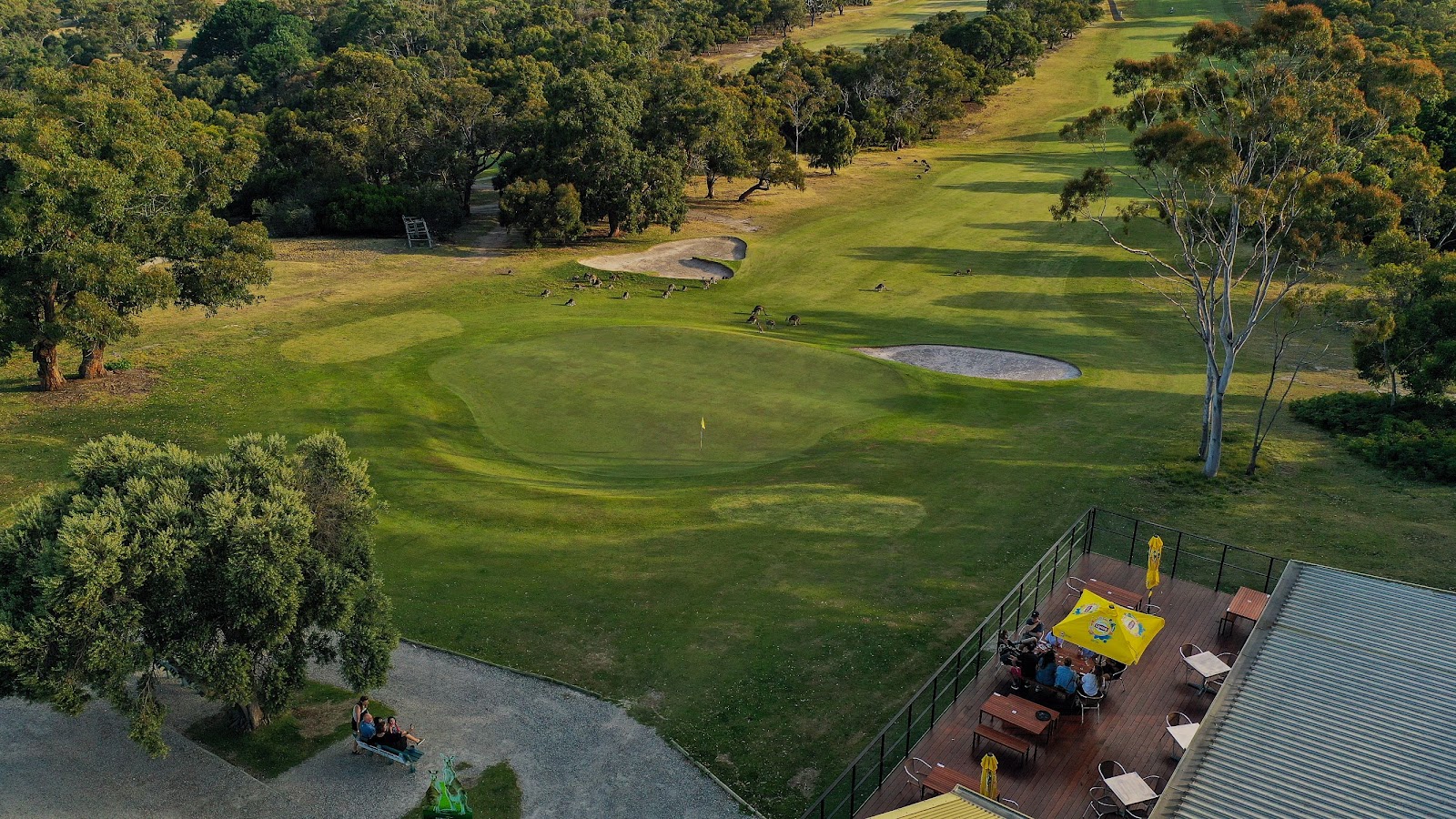 Anglesea Golf Club