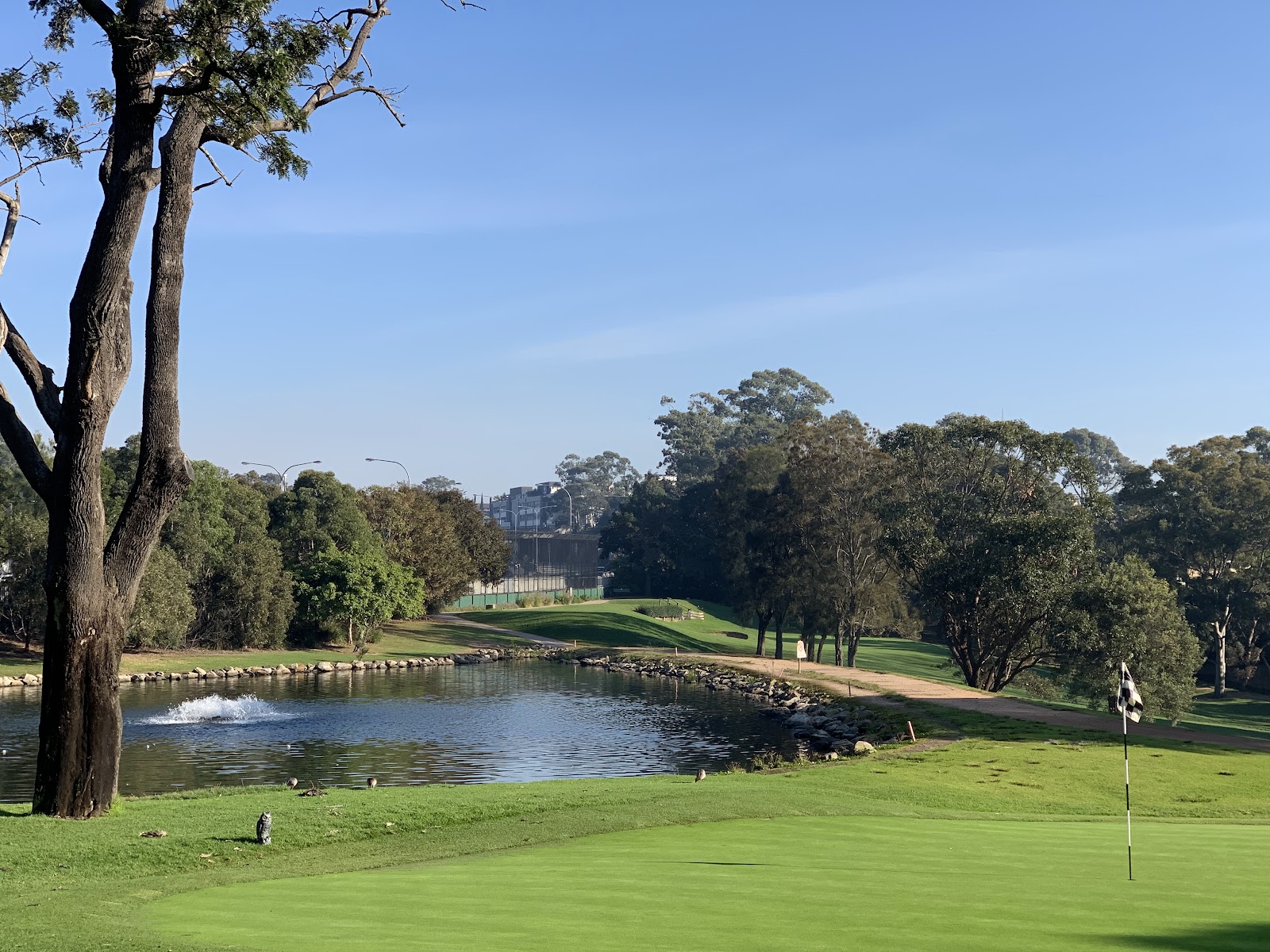 Cammeray Golf Club