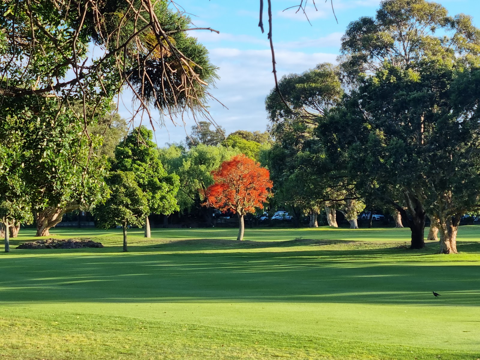 Woollahra Golf Club