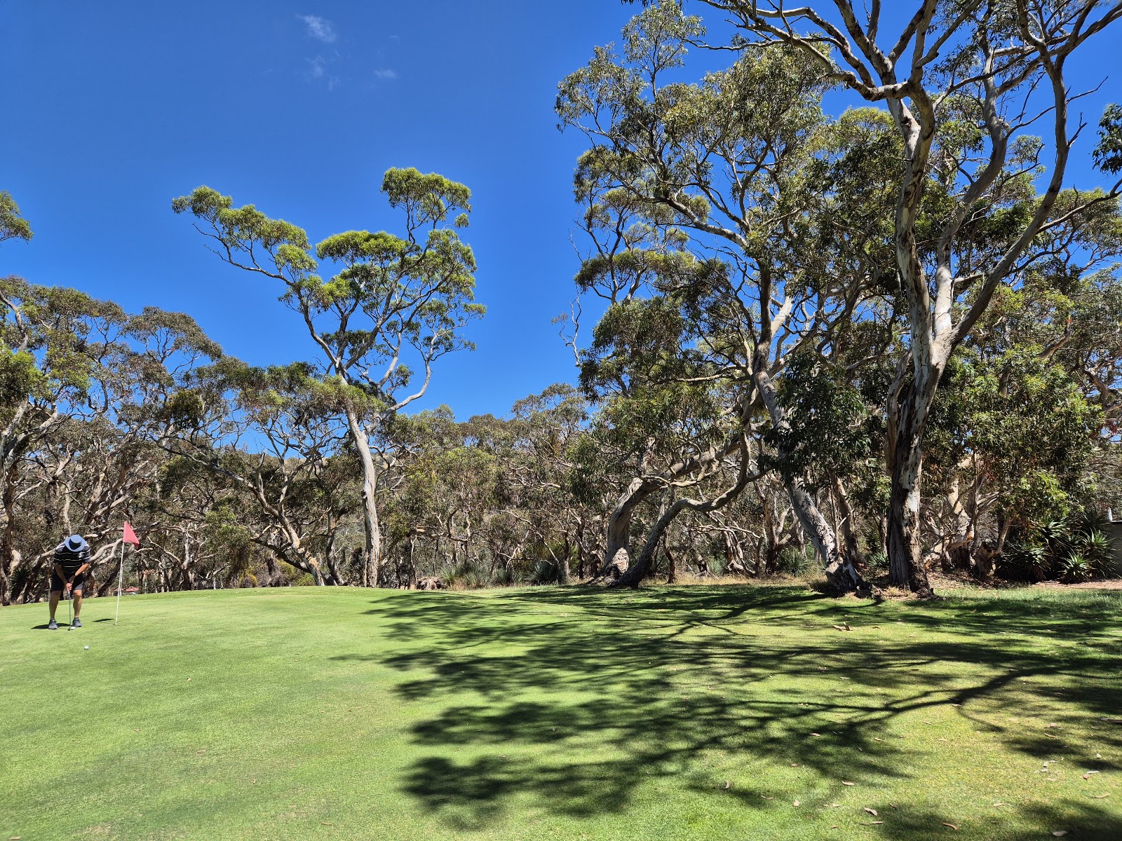 Ashbourne Golf Club