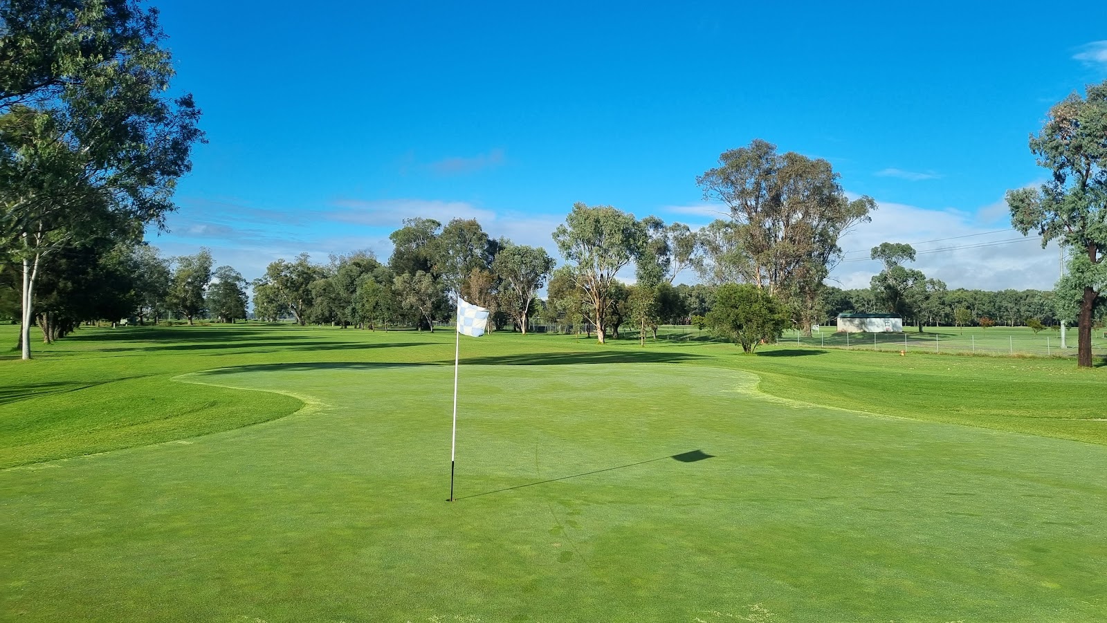 Scone Golf Club
