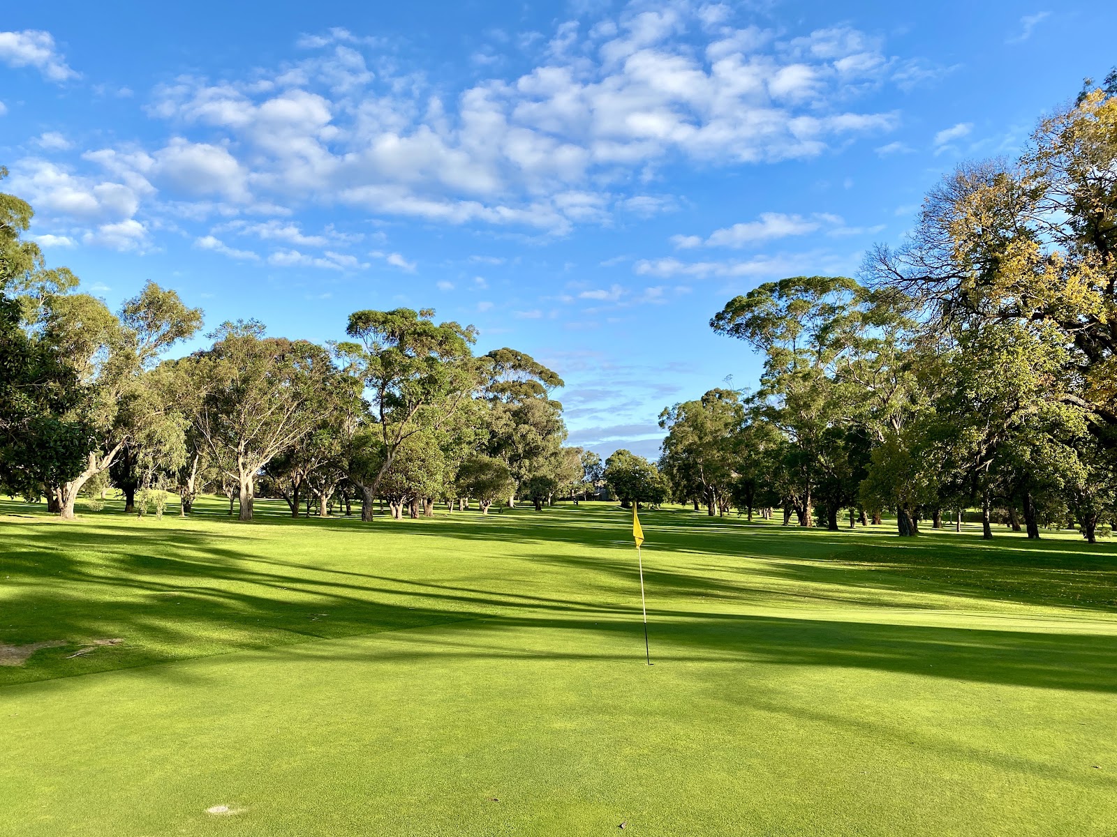Wattle Park Golf Course
