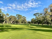 Wattle Park Golf Course
