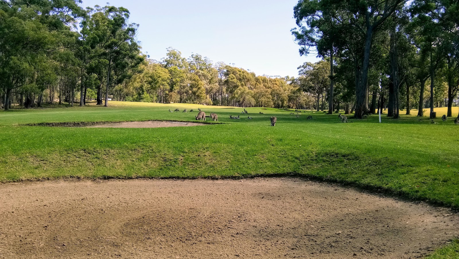 Eden Sports & Recreation Club