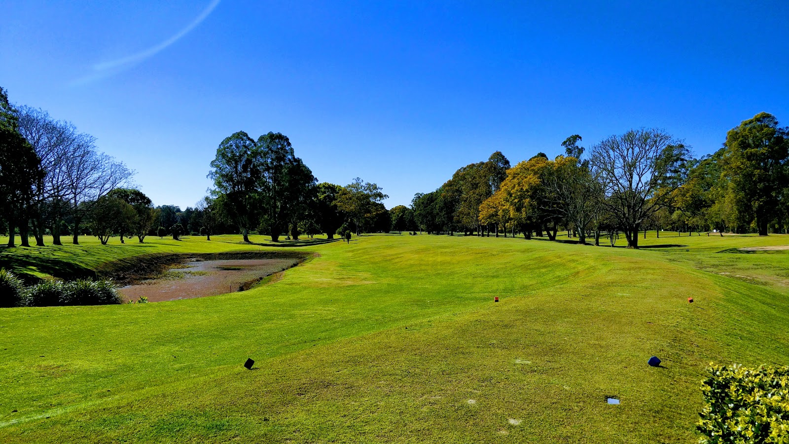 The Loyal Bellingen Golf Club
