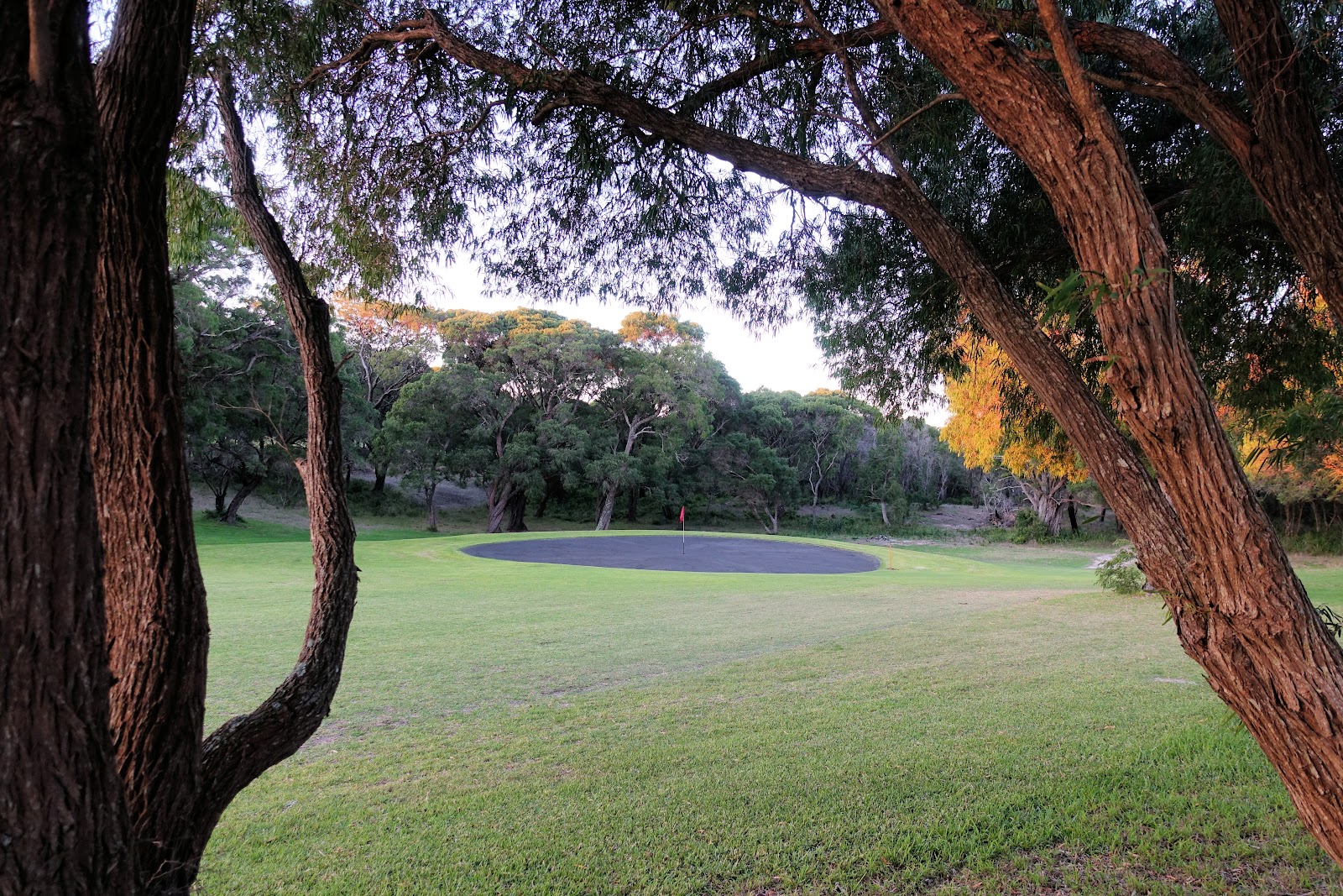 Augusta Golf Club