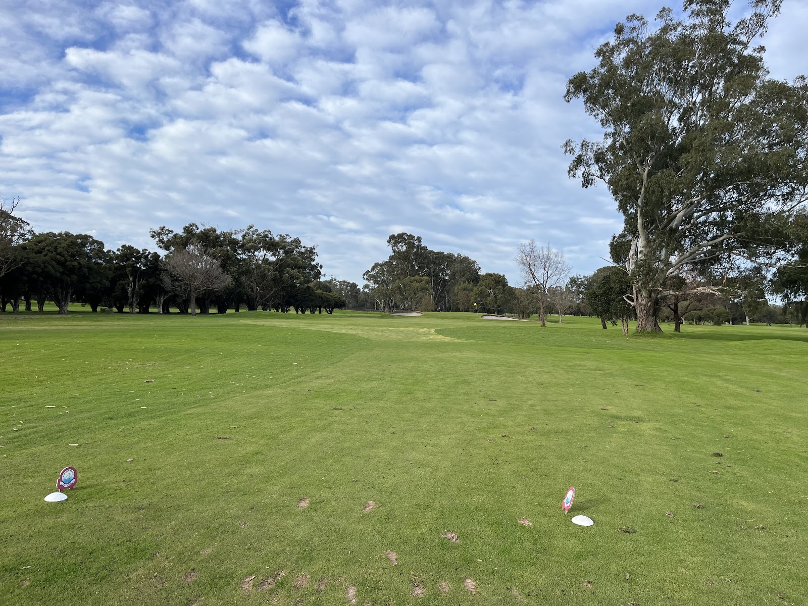 Eastern Sward golf club