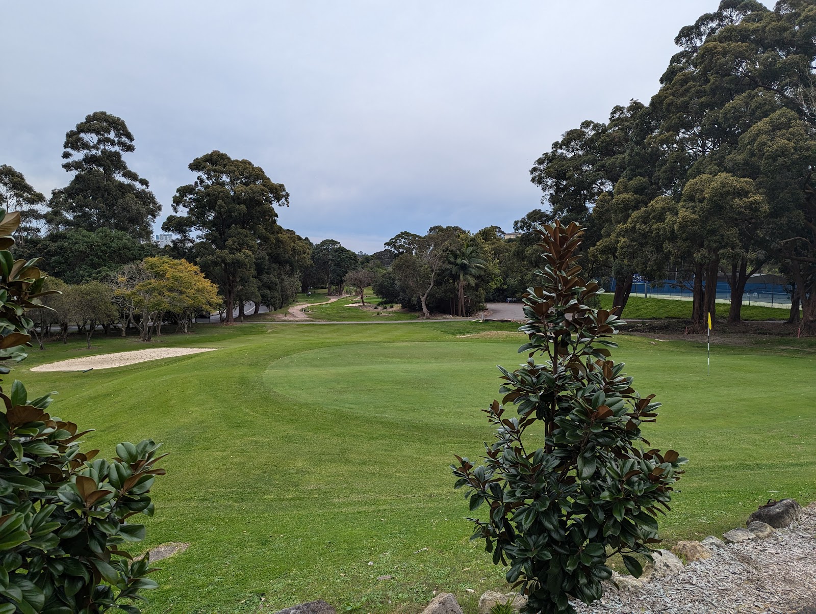 Castle Cove Golf Club