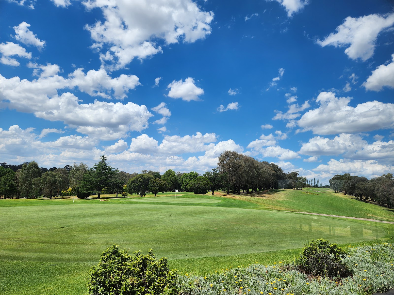 Young Golf Club