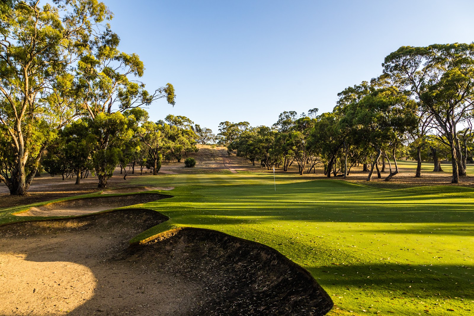 Tanunda Pines Golf Club