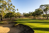 Tanunda Pines Golf Club