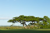 Ballina Golf & Sports Club