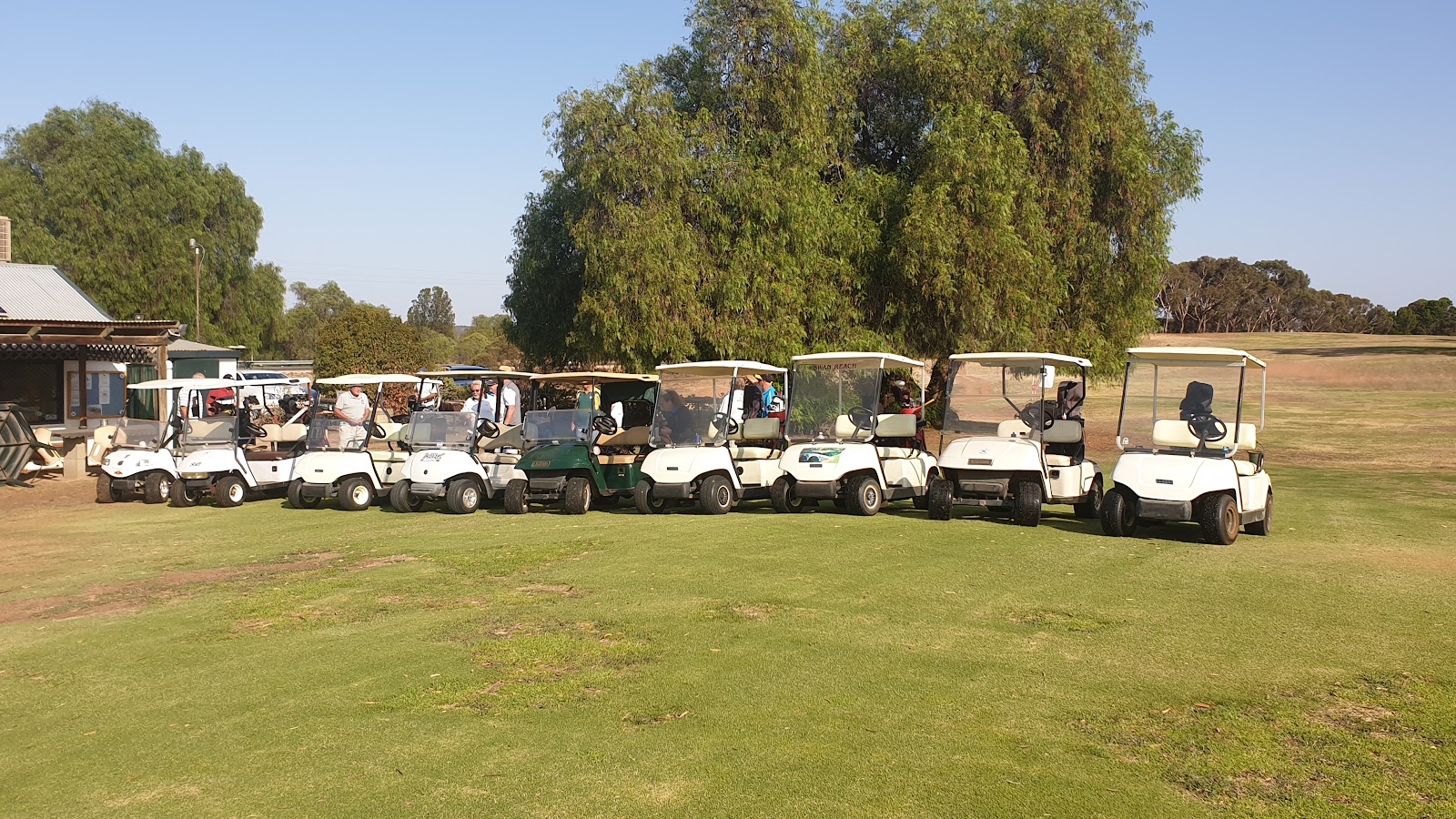 Swan Reach Golf Club