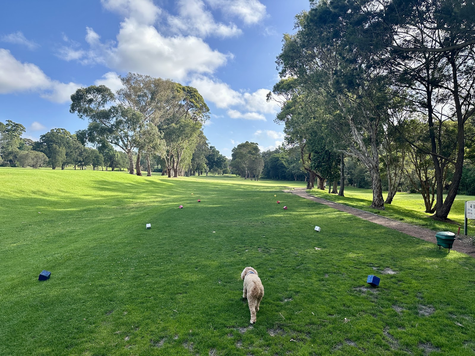 Balgowlah Golf Club