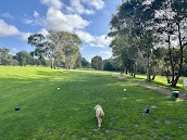 Balgowlah Golf Club