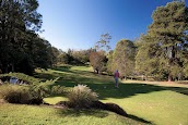 Tamborine Mountain Golf Club