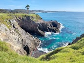Narooma Golf Course