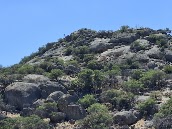 Pyramid Hill Golf Club