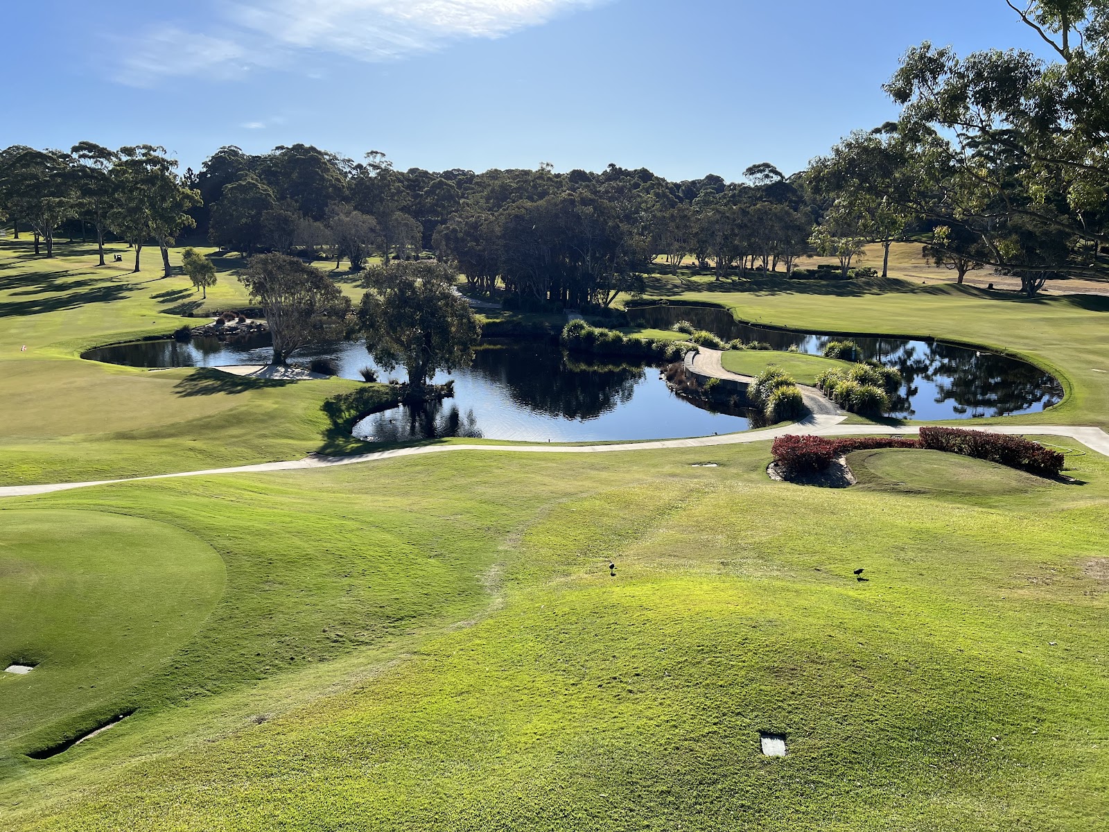 Byron Bay Golf Club