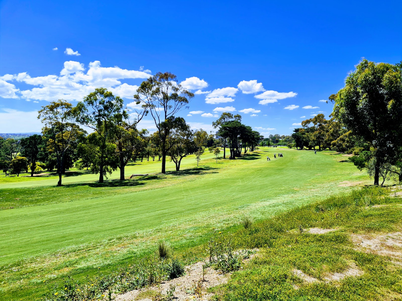 Medway Golf Club