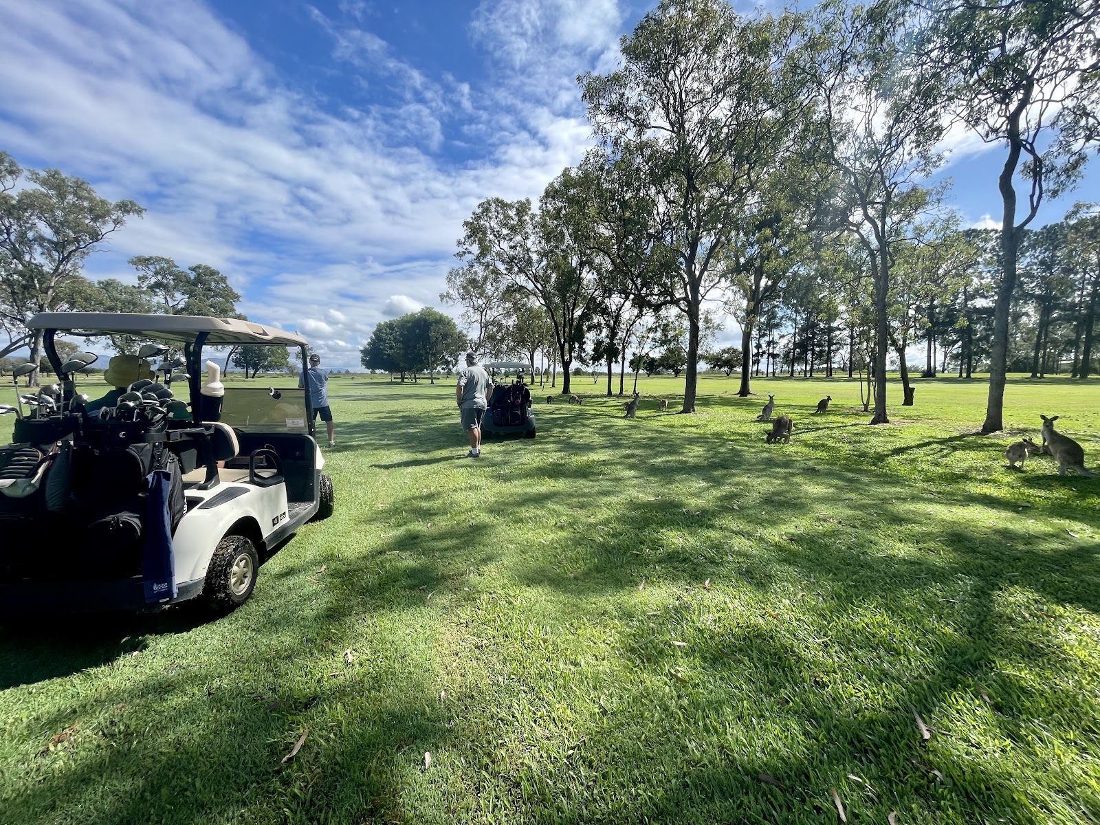 Mareeba Golf Club