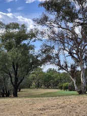 Jindera Country Golf Club