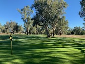 Warren Golf Course